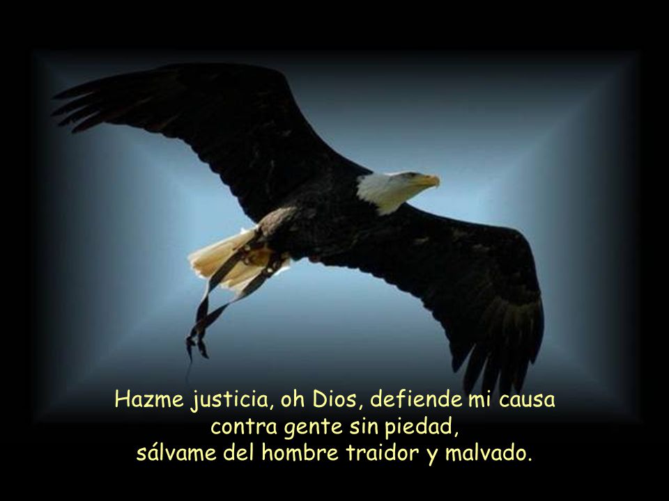 Hazme justicia, oh Dios, defiende mi causa contra gente sin piedad, sálvame del hombre traidor y malvado.