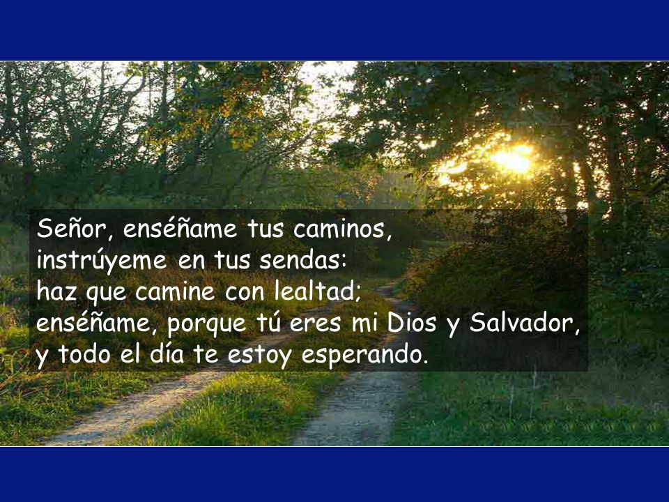 Señor, enséñame tus caminos, instrúyeme en tus sendas: haz que camine con lealtad; enséñame, porque tú eres mi Dios y Salvador, y todo el día te estoy esperando.