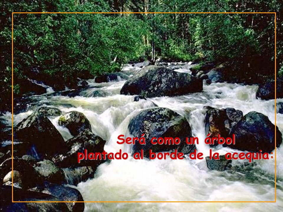 plantado al borde de la acequia: