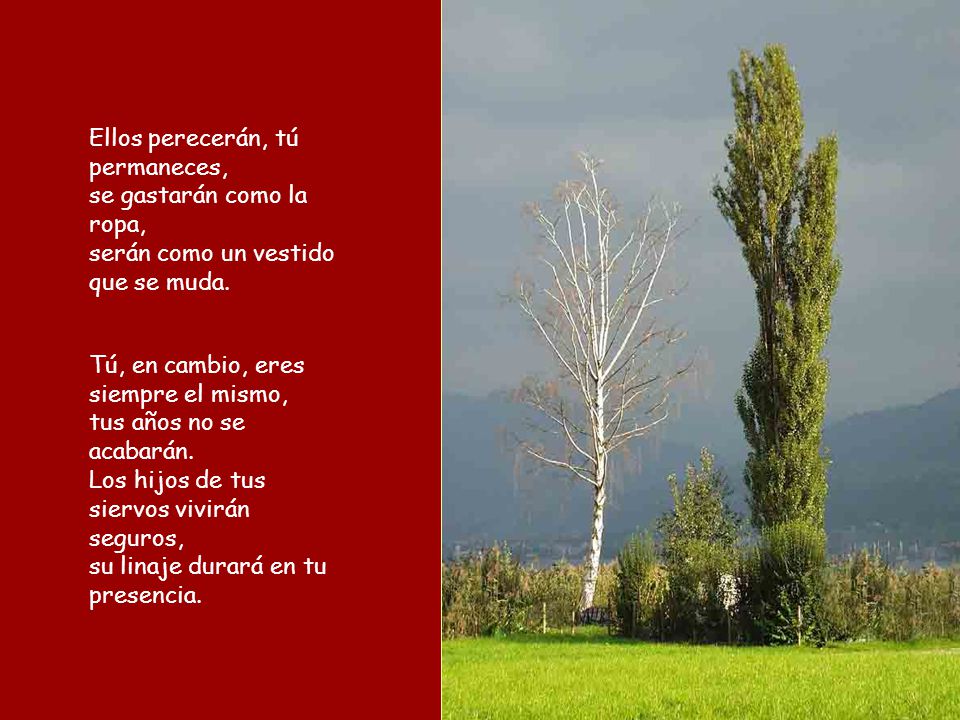Ellos perecerán, tú permaneces, se gastarán como la ropa, serán como un vestido que se muda.
