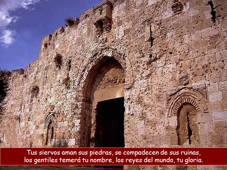 Tus siervos aman sus piedras, se compadecen de sus ruinas, los gentiles temerá tu nombre, los reyes del mundo, tu gloria.