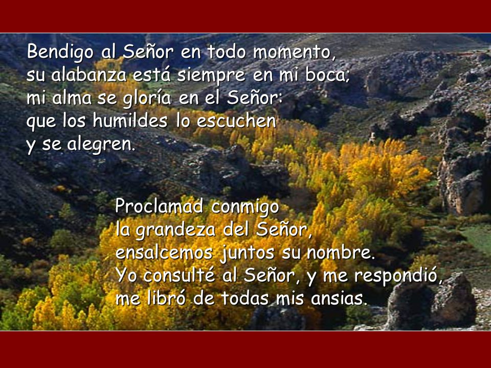 Bendigo al Señor en todo momento, su alabanza está siempre en mi boca; mi alma se gloría en el Señor: que los humildes lo escuchen y se alegren.