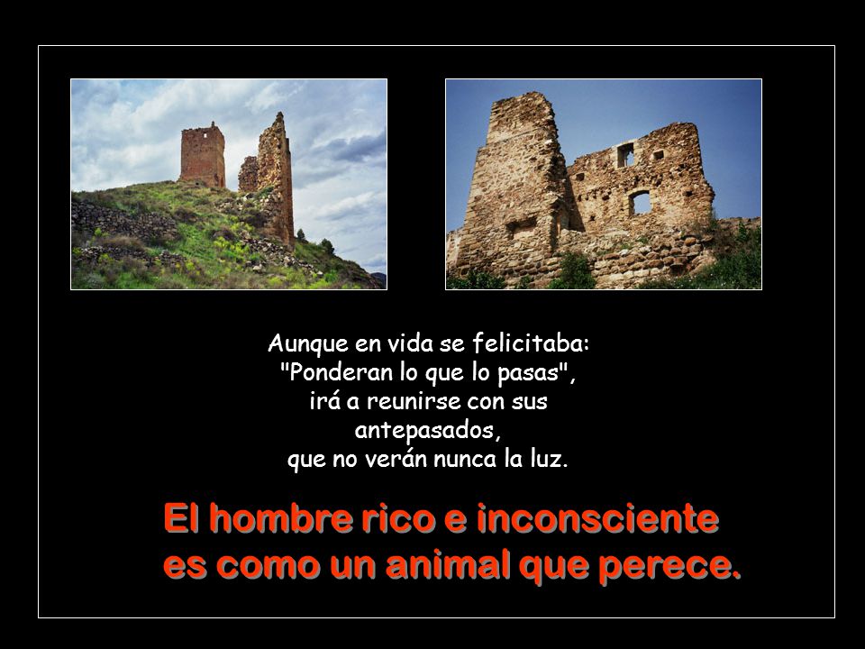 El hombre rico e inconsciente es como un animal que perece.