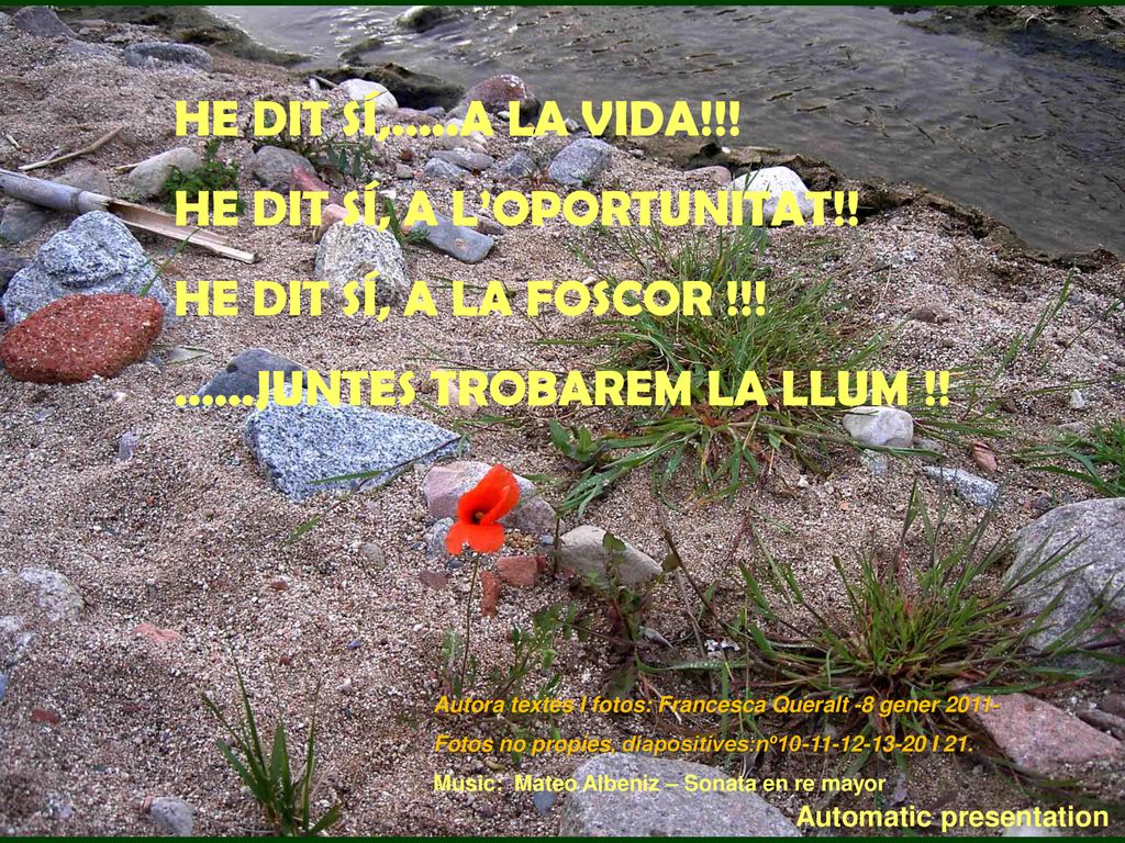 HE DIT SÍ, A L’OPORTUNITAT!! HE DIT SÍ, A LA FOSCOR !!!