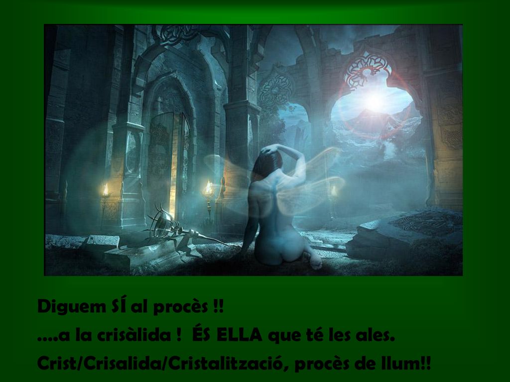 Diguem SÍ al procès !. ….a la crisàlida . ÉS ELLA que té les ales.