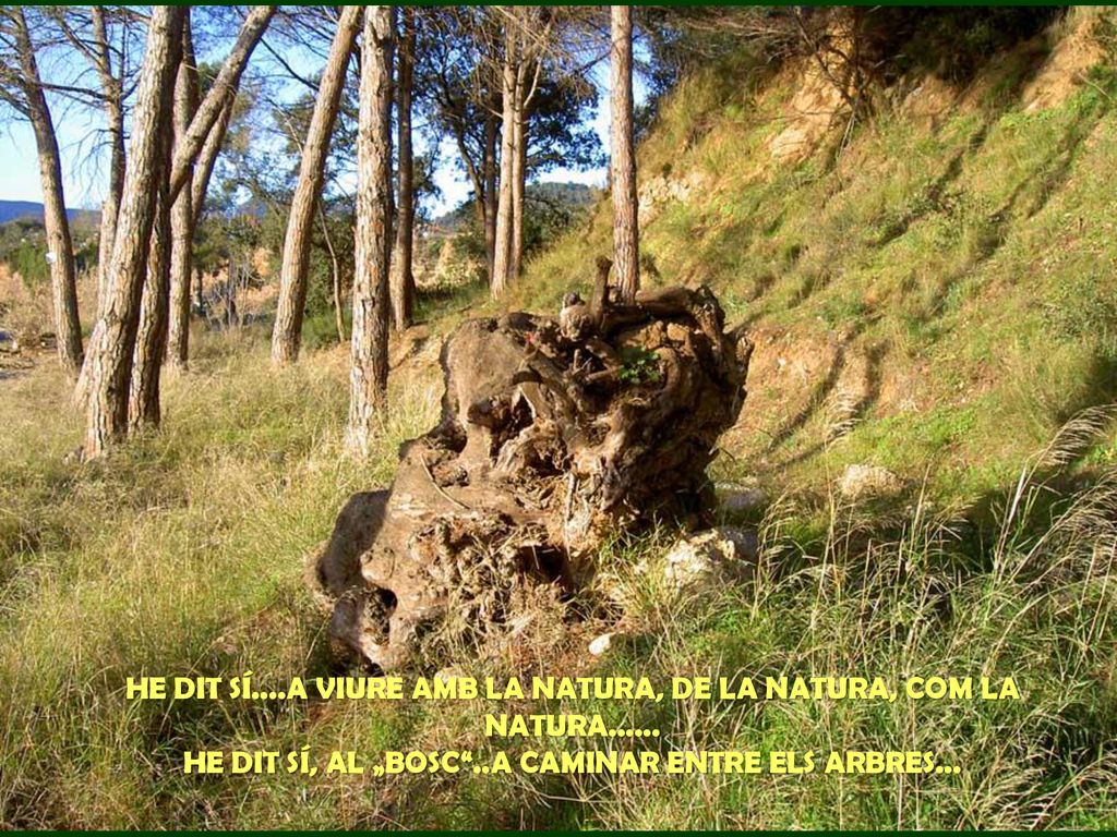 HE DIT SÍ. A VIURE AMB LA NATURA, DE LA NATURA, COM LA NATURA