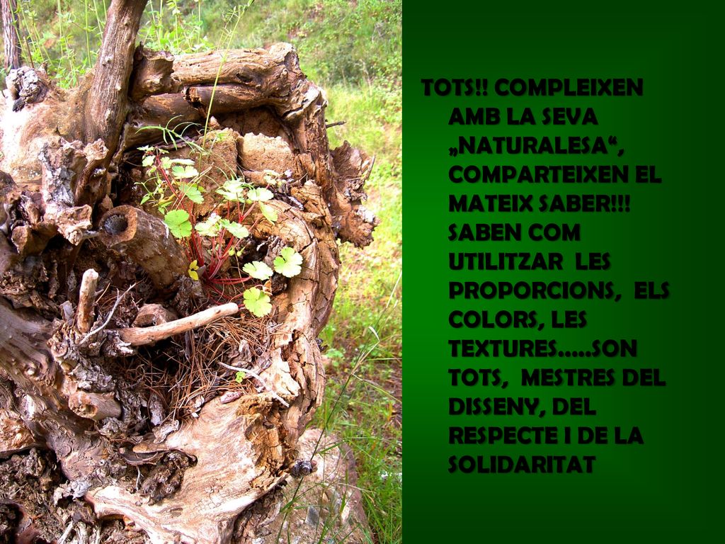 TOTS!. COMPLEIXEN AMB LA SEVA „NATURALESA , COMPARTEIXEN EL MATEIX SABER!!.