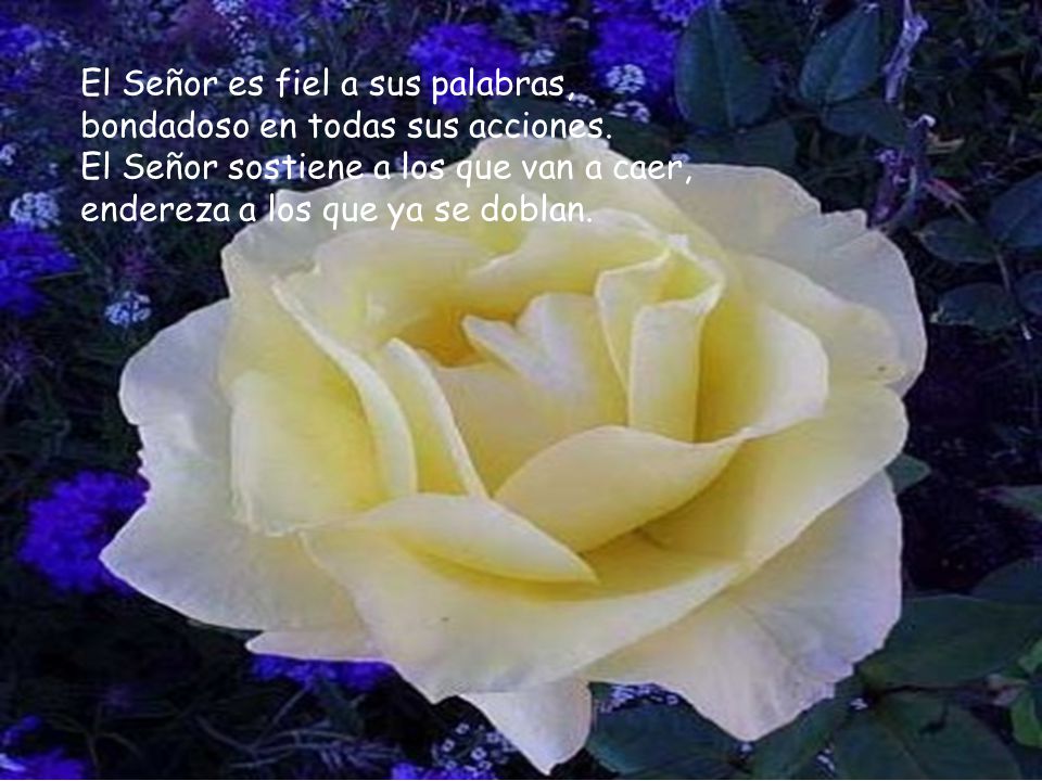 El Señor es fiel a sus palabras, bondadoso en todas sus acciones