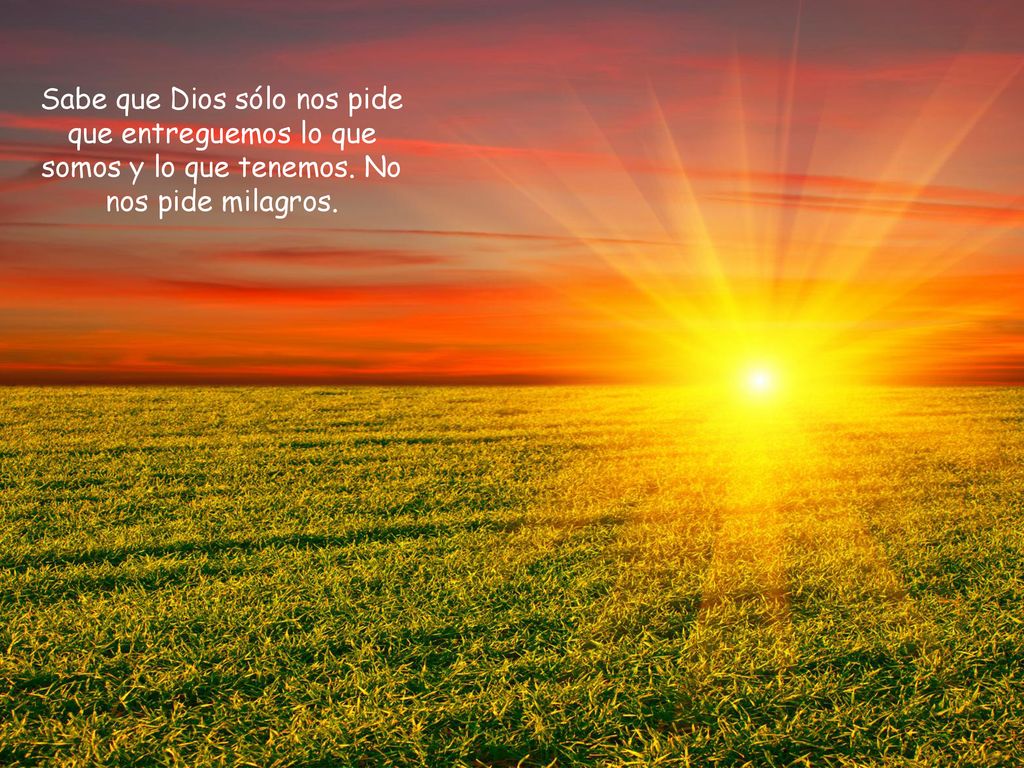 Sabe que Dios sólo nos pide que entreguemos lo que somos y lo que tenemos. No nos pide milagros.