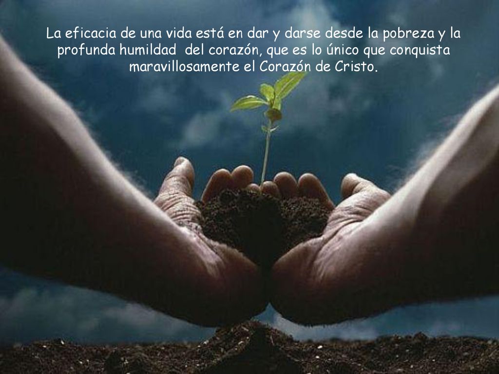 La eficacia de una vida está en dar y darse desde la pobreza y la profunda humildad del corazón, que es lo único que conquista maravillosamente el Corazón de Cristo.