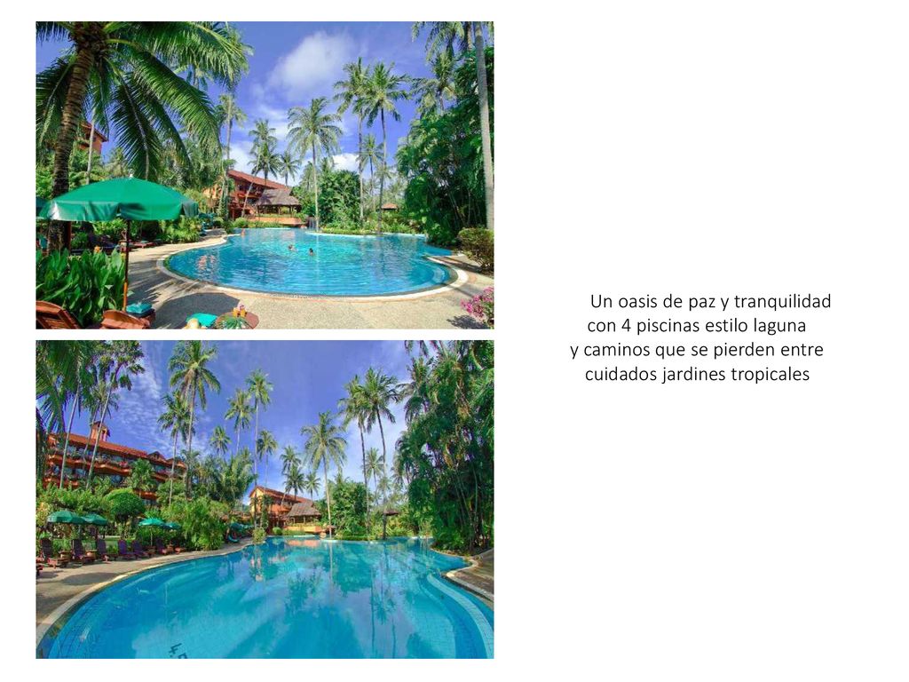 Un oasis de paz y tranquilidad con 4 piscinas estilo laguna