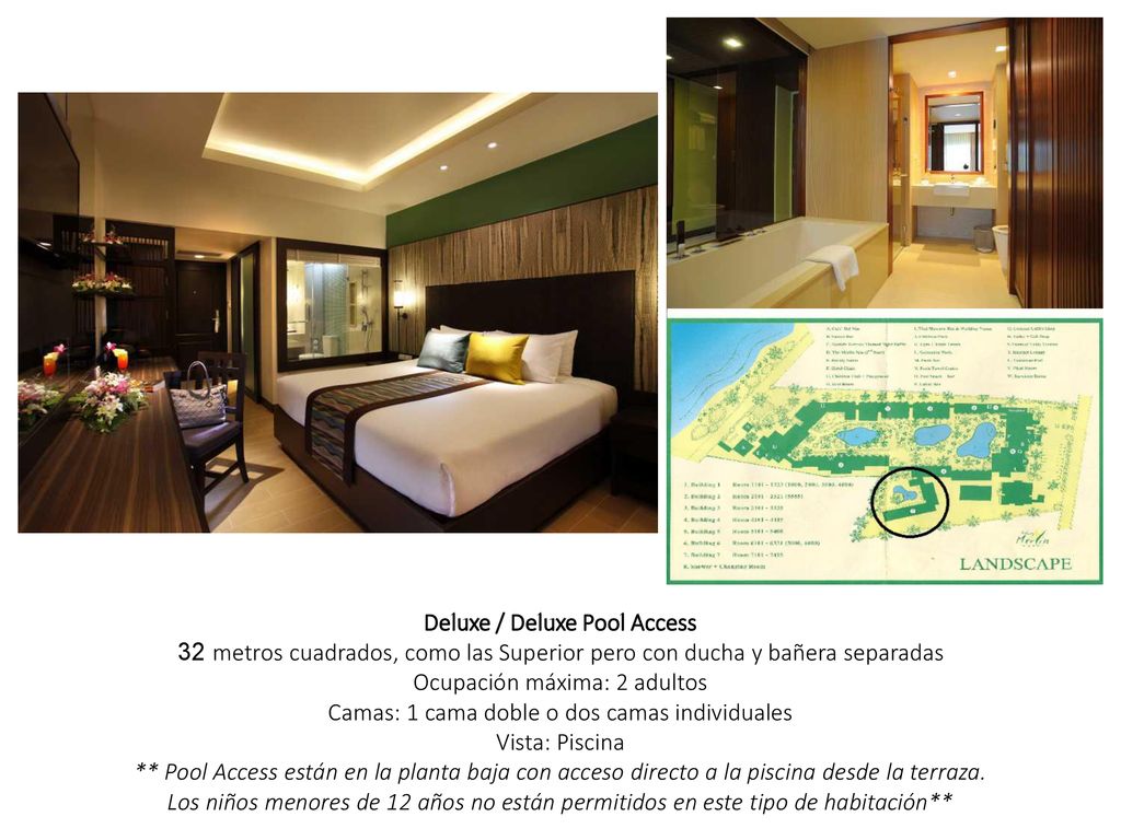 Deluxe / Deluxe Pool Access 32 metros cuadrados, como las Superior pero con ducha y bañera separadas Ocupación máxima: 2 adultos Camas: 1 cama doble o dos camas individuales Vista: Piscina ** Pool Access están en la planta baja con acceso directo a la piscina desde la terraza. Los niños menores de 12 años no están permitidos en este tipo de habitación**
