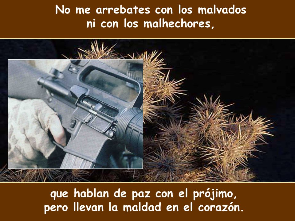 No me arrebates con los malvados ni con los malhechores,