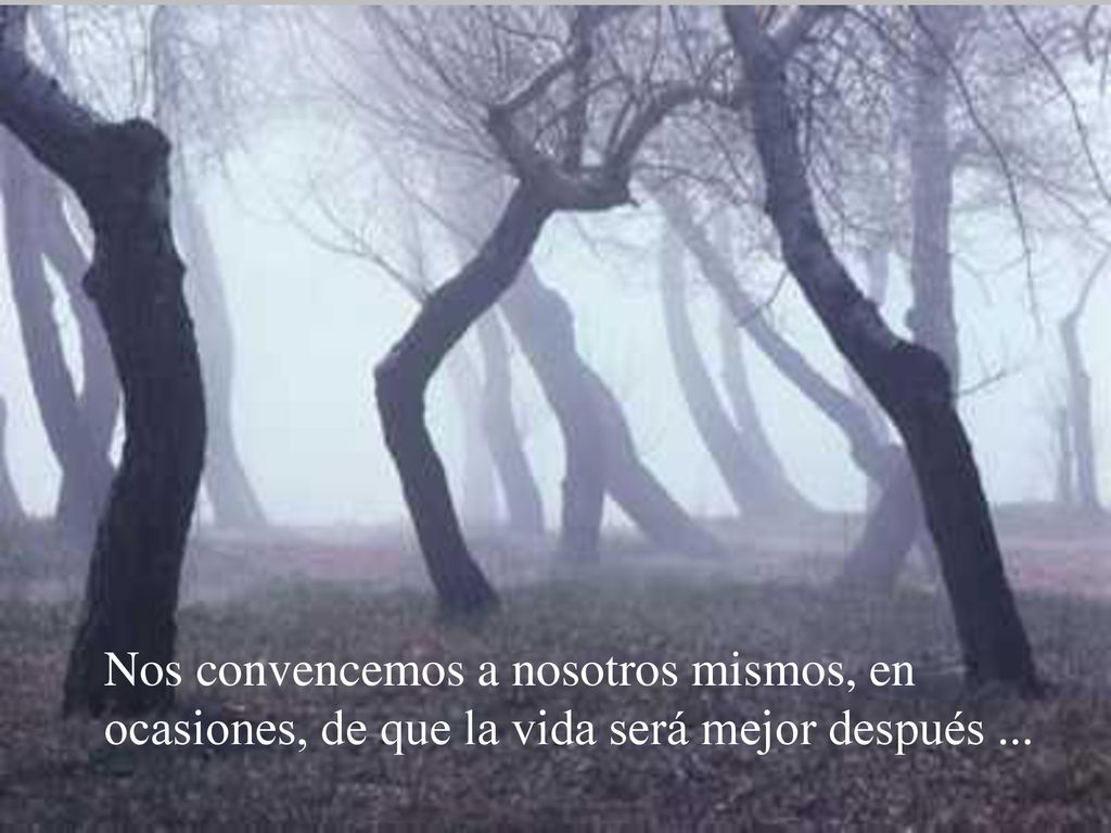 Nos convencemos a nosotros mismos, en ocasiones, de que la vida será mejor después ...