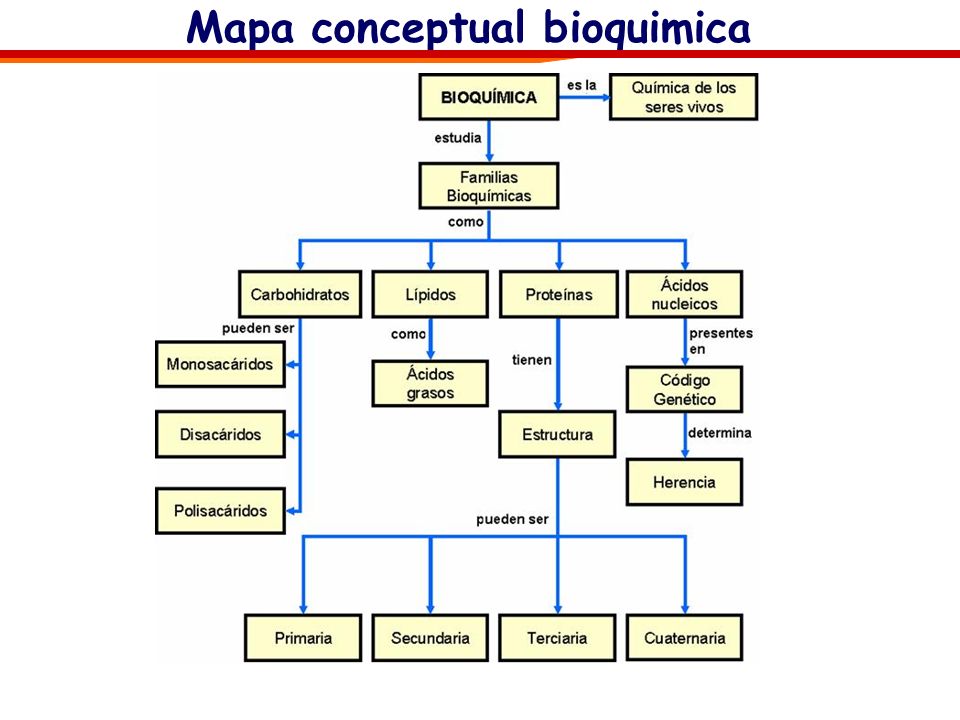 Mapa conceptual bioquimica