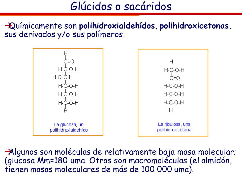 Glúcidos o sacáridos Químicamente son polihidroxialdehídos, polihidroxicetonas, sus derivados y/o sus polímeros.
