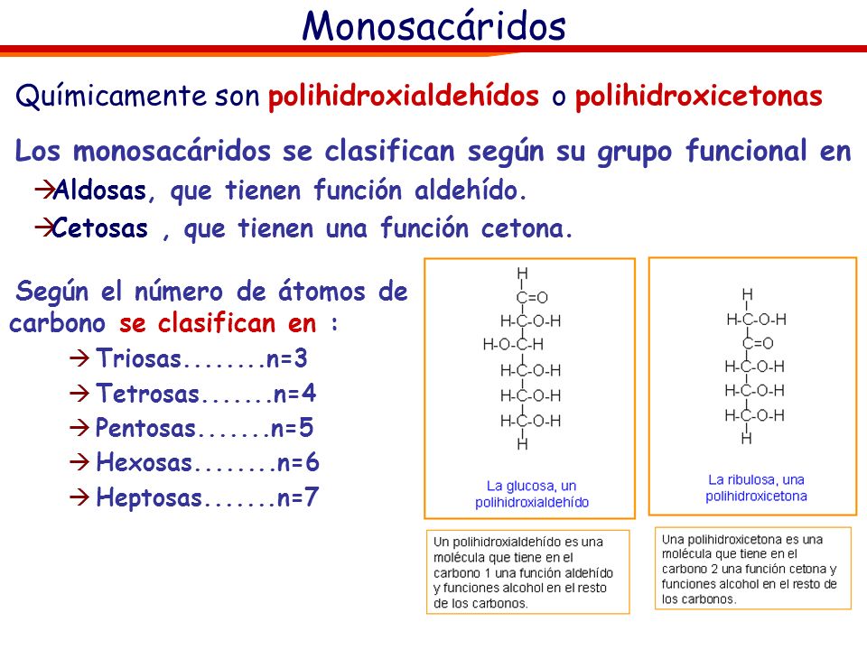 Monosacáridos Químicamente son polihidroxialdehídos o polihidroxicetonas. Los monosacáridos se clasifican según su grupo funcional en.