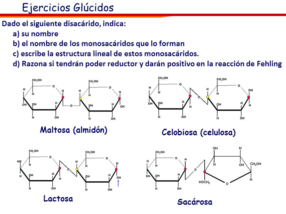 Ejercicios Glúcidos Dado el siguiente disacárido, indica: a) su nombre