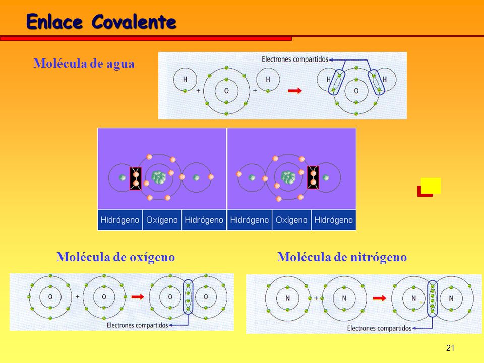 Enlace Covalente Molécula de agua Molécula de oxígeno