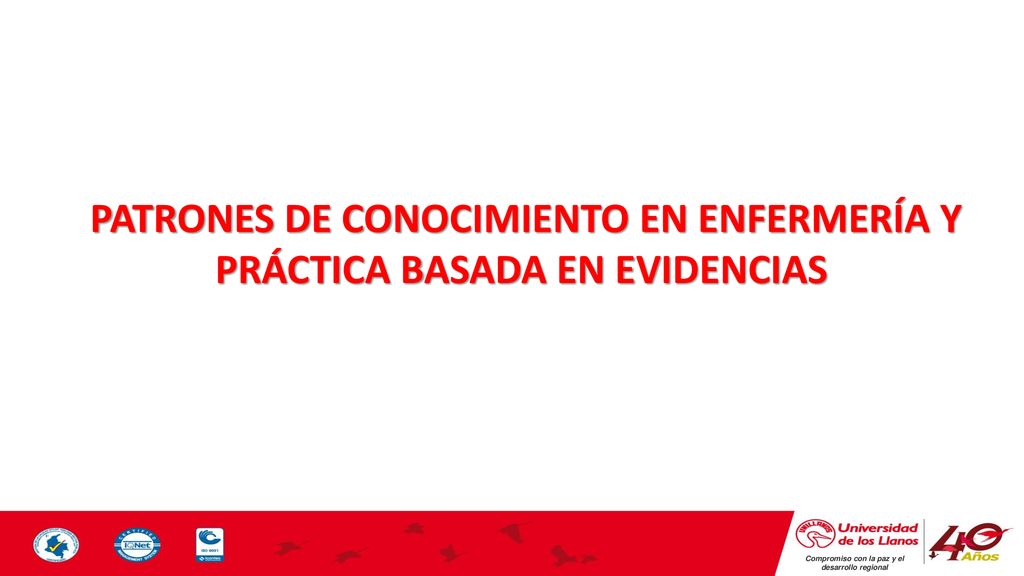 PATRONES DE CONOCIMIENTO EN ENFERMERÍA Y PRÁCTICA BASADA EN EVIDENCIAS