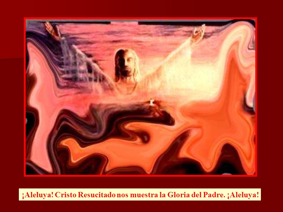 ¡Aleluya! Cristo Resucitado nos muestra la Gloria del Padre. ¡Aleluya!