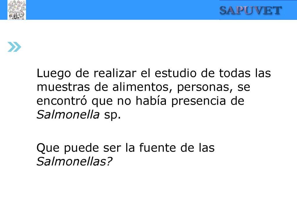 Luego de realizar el estudio de todas las muestras de alimentos, personas, se encontró que no había presencia de Salmonella sp.