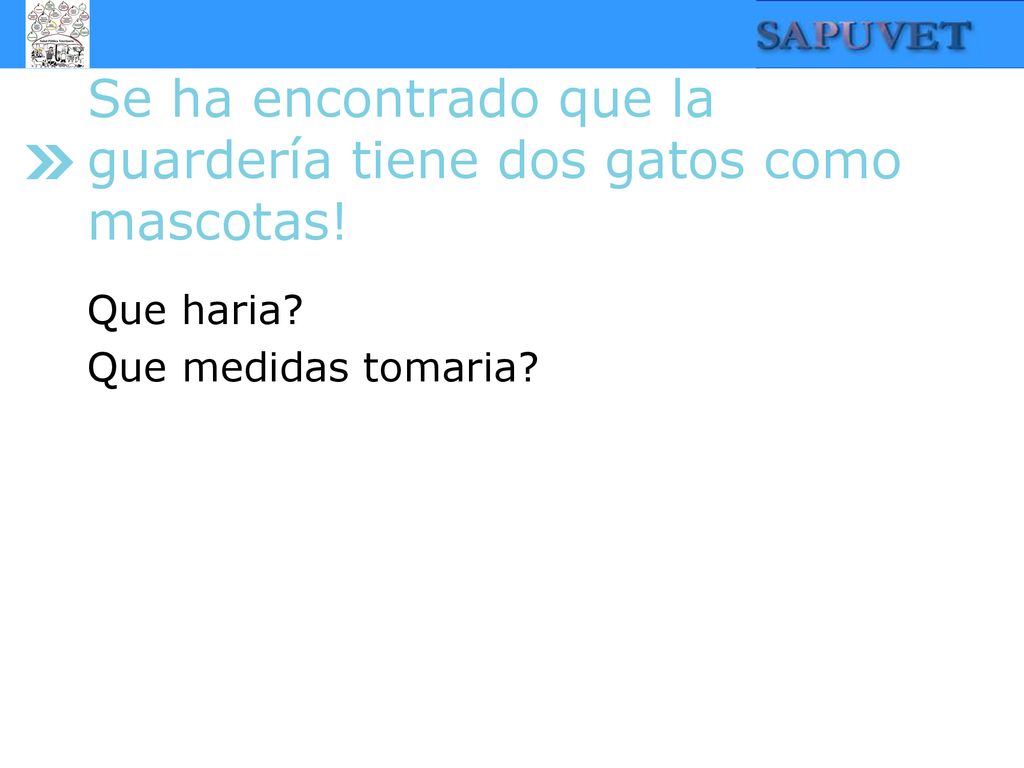 Se ha encontrado que la guardería tiene dos gatos como mascotas!