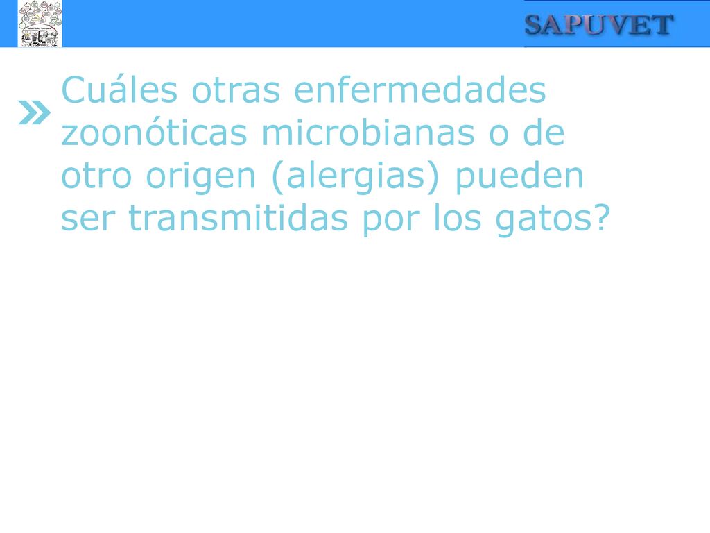 Cuáles otras enfermedades zoonóticas microbianas o de otro origen (alergias) pueden ser transmitidas por los gatos