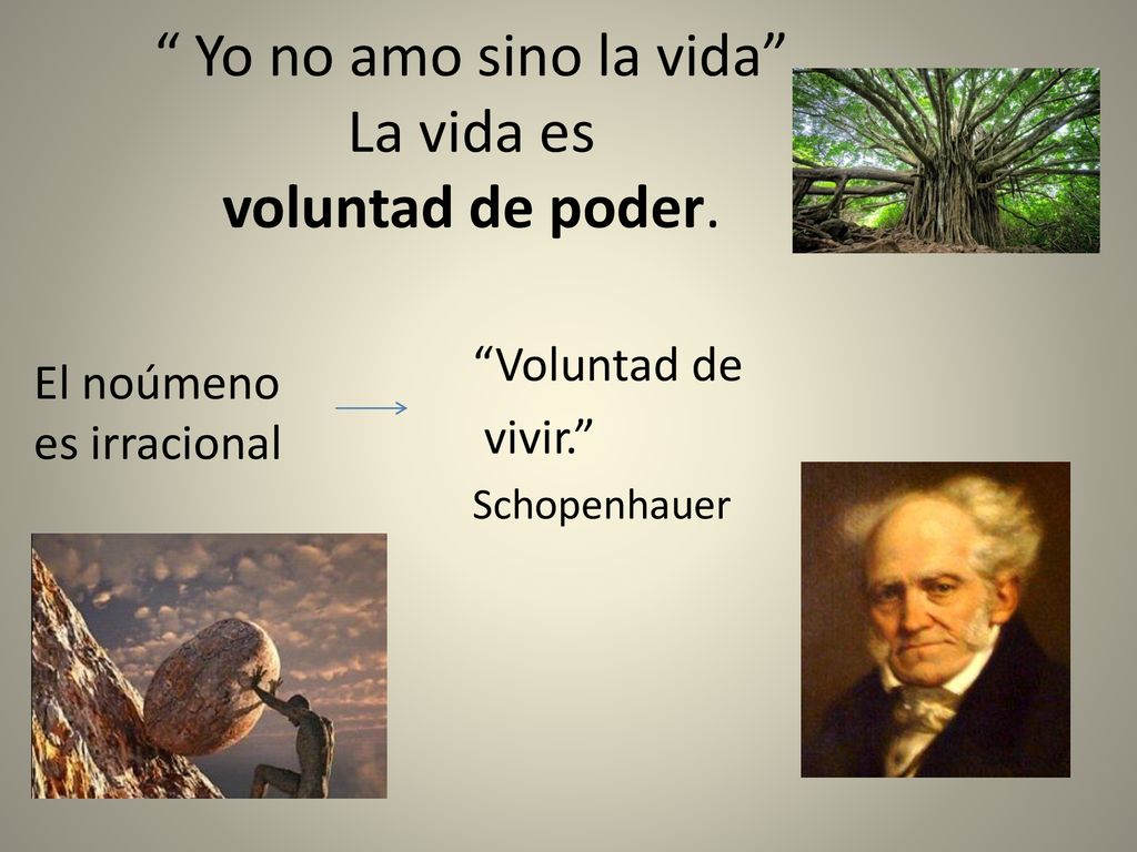 Yo no amo sino la vida La vida es voluntad de poder.