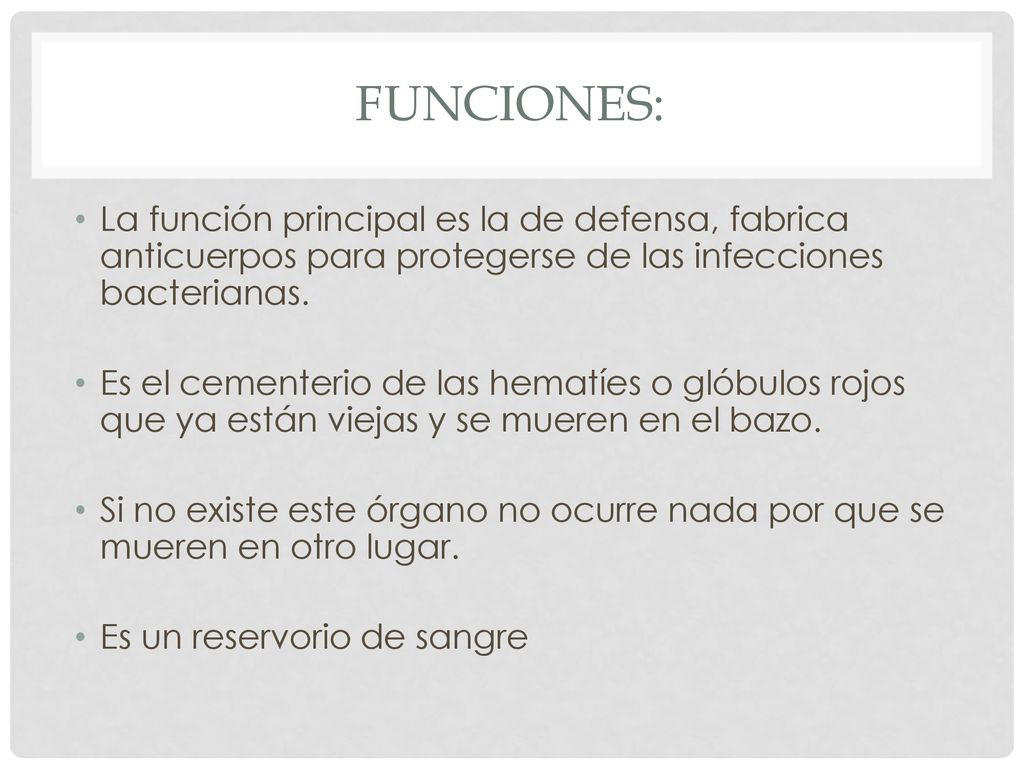 Funciones: La función principal es la de defensa, fabrica anticuerpos para protegerse de las infecciones bacterianas.