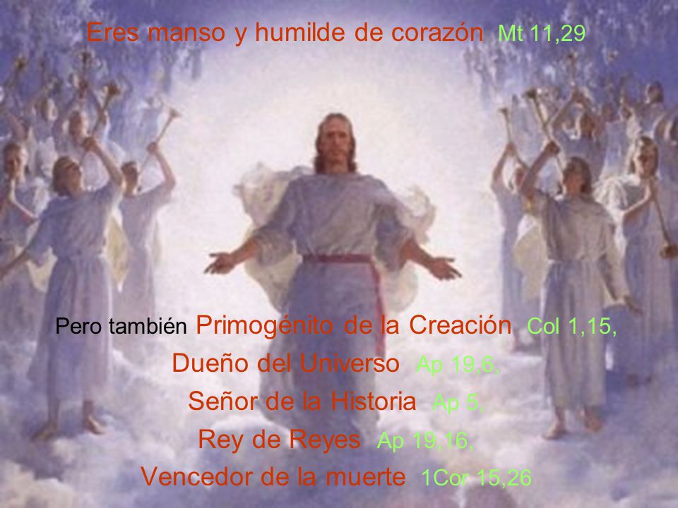Eres manso y humilde de corazón Mt 11,29