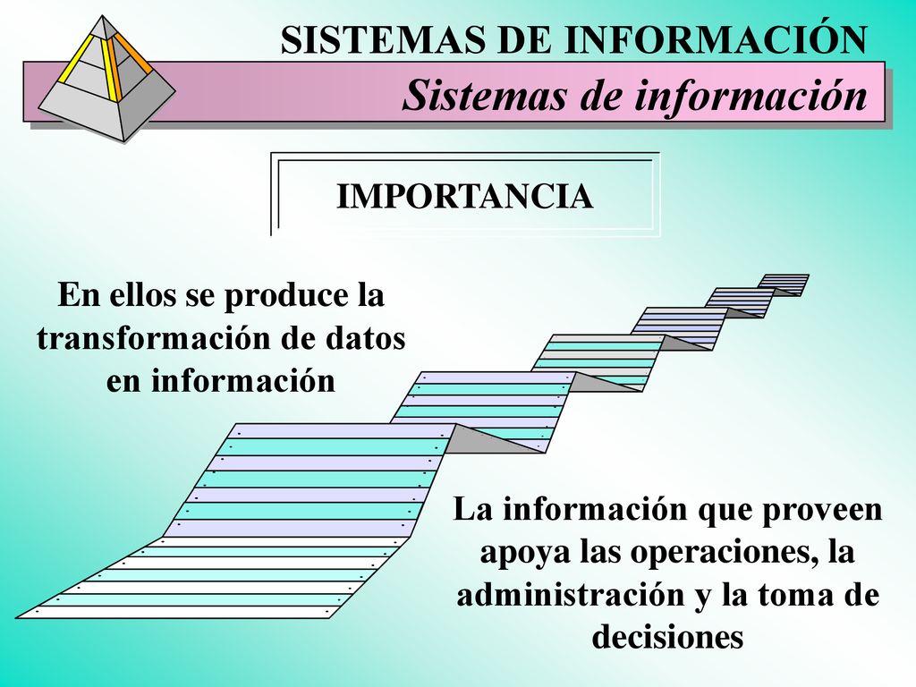 En ellos se produce la transformación de datos en información
