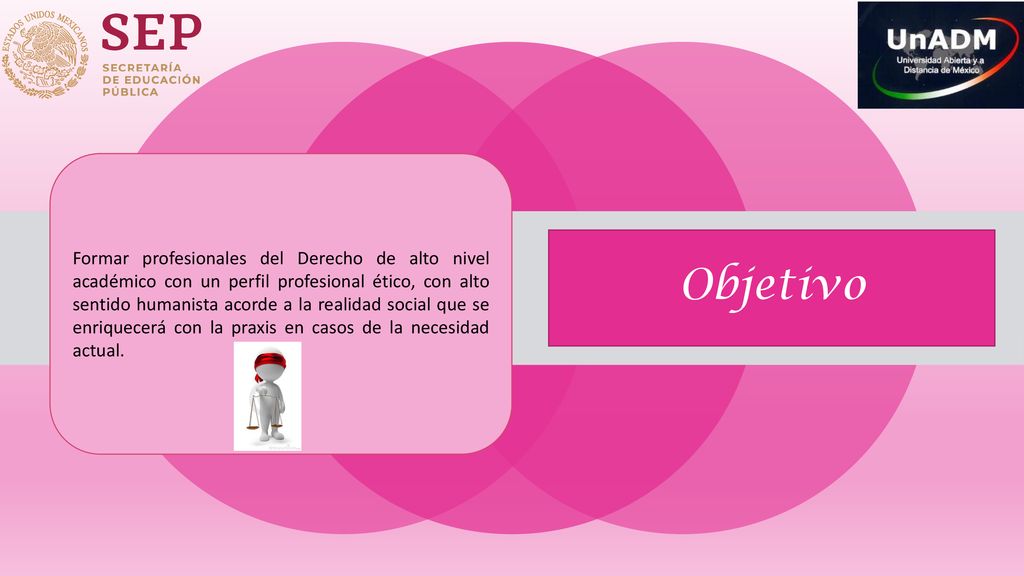Formar profesionales del Derecho de alto nivel académico con un perfil profesional ético, con alto sentido humanista acorde a la realidad social que se enriquecerá con la praxis en casos de la necesidad actual.