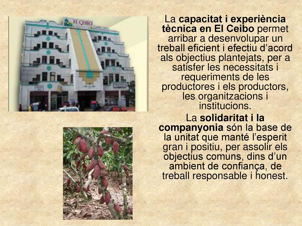 La capacitat i experiència tècnica en El Ceibo permet arribar a desenvolupar un treball eficient i efectiu d’acord als objectius plantejats, per a satisfer les necessitats i requeriments de les productores i els productors, les organitzacions i institucions.