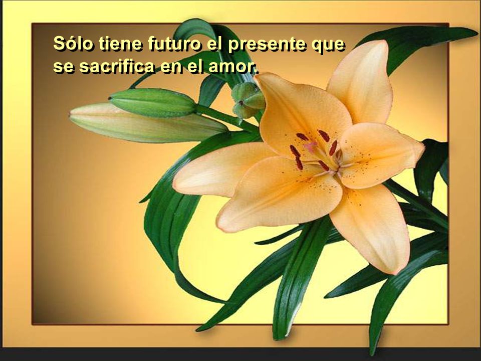 Sólo tiene futuro el presente que se sacrifica en el amor.