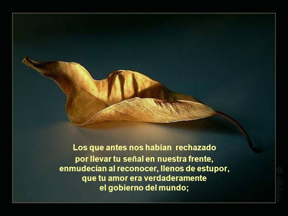 Los que antes nos habían rechazado por llevar tu señal en nuestra frente, enmudecían al reconocer, llenos de estupor, que tu amor era verdaderamente el gobierno del mundo;