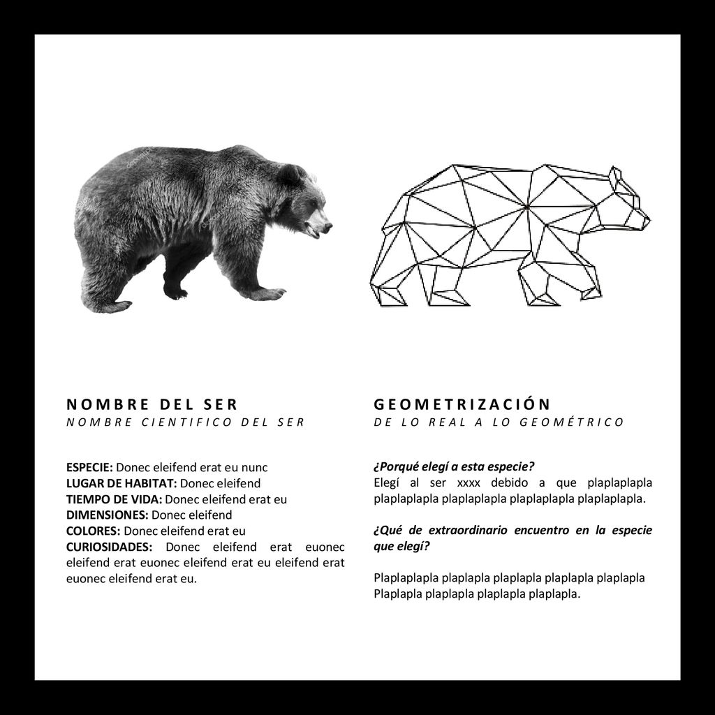 NOMBRE DEL SER GEOMETRIZACIÓN ESPECIE: Donec eleifend erat eu nunc