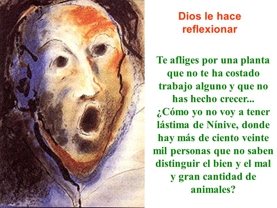 Dios le hace reflexionar. Te afliges por una planta que no te ha costado trabajo alguno y que no has hecho crecer...