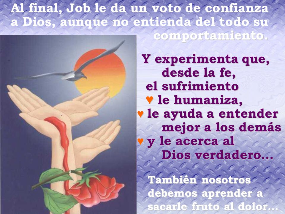 Y experimenta que, desde la fe, el sufrimiento ♥ le humaniza,