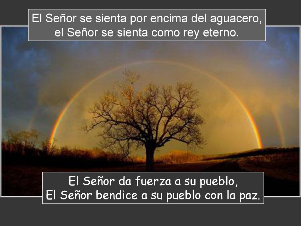 El Señor se sienta por encima del aguacero, el Señor se sienta como rey eterno.