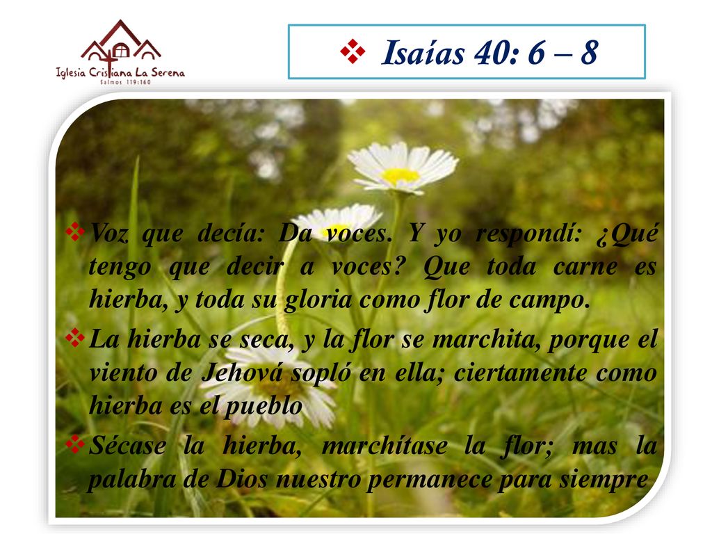 Isaías 40: 6 – 8 Voz que decía: Da voces. Y yo respondí: ¿Qué tengo que decir a voces Que toda carne es hierba, y toda su gloria como flor de campo.
