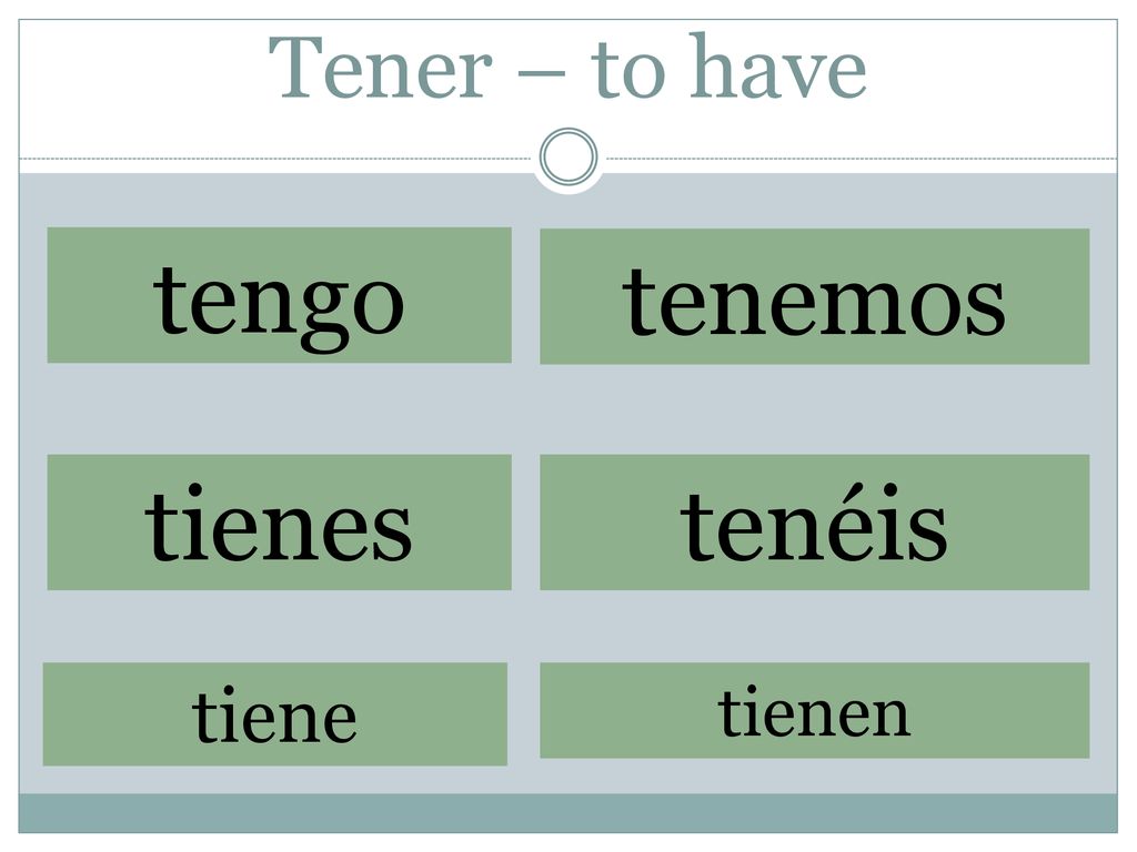 Tener – to have tengo tenemos tienes tenéis tiene tienen