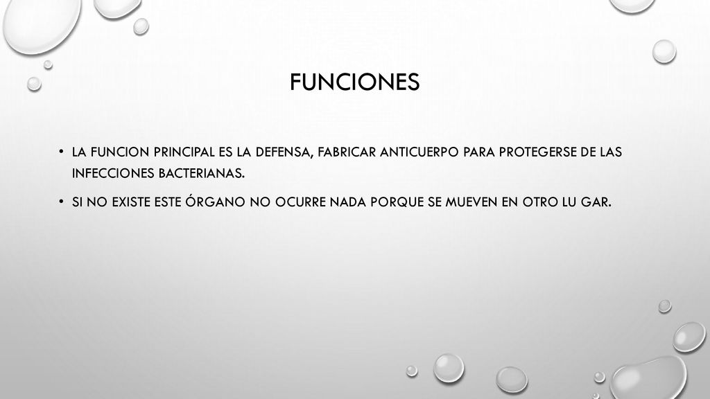 Funciones La funcion principal es la defensa, fabricar anticuerpo para protegerse de las infecciones bacterianas.
