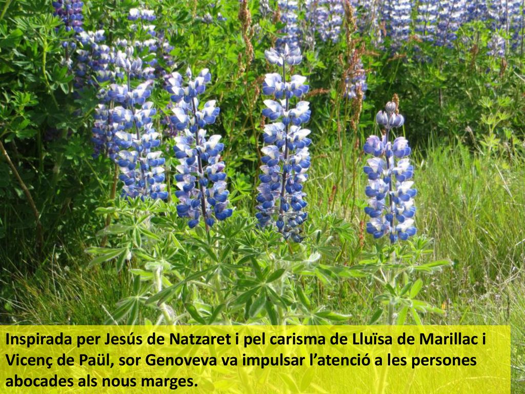 Inspirada per Jesús de Natzaret i pel carisma de Lluïsa de Marillac i Vicenç de Paül, sor Genoveva va impulsar l’atenció a les persones abocades als nous marges.