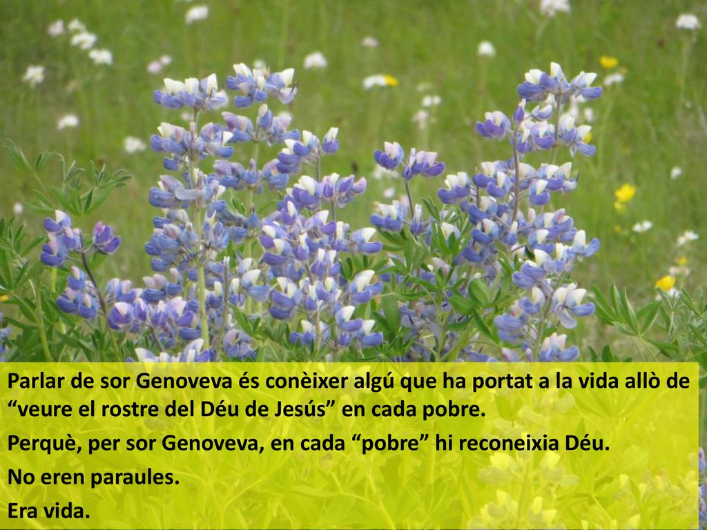 Parlar de sor Genoveva és conèixer algú que ha portat a la vida allò de veure el rostre del Déu de Jesús en cada pobre.