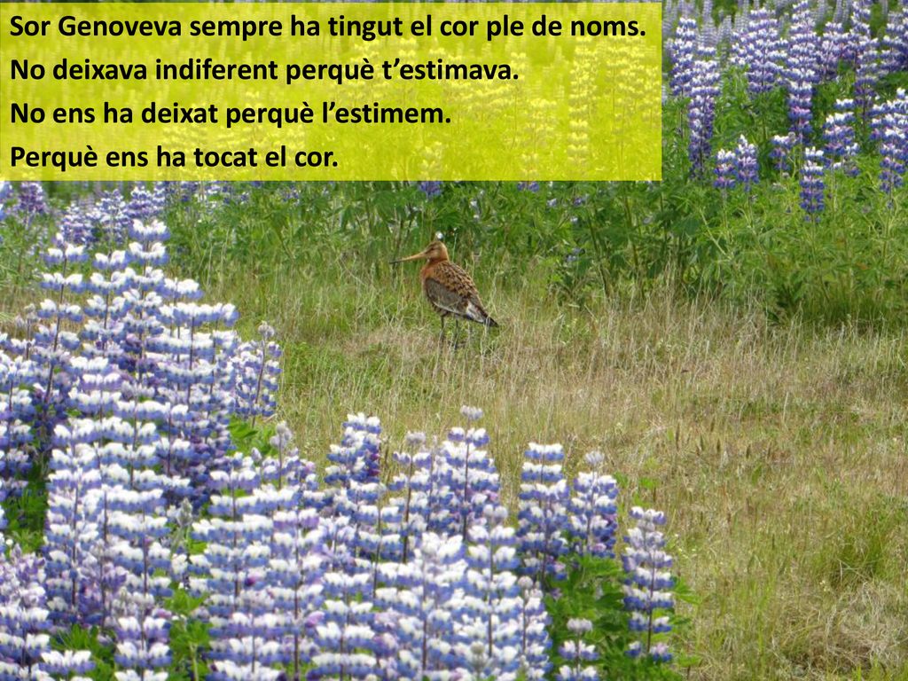 Sor Genoveva sempre ha tingut el cor ple de noms.