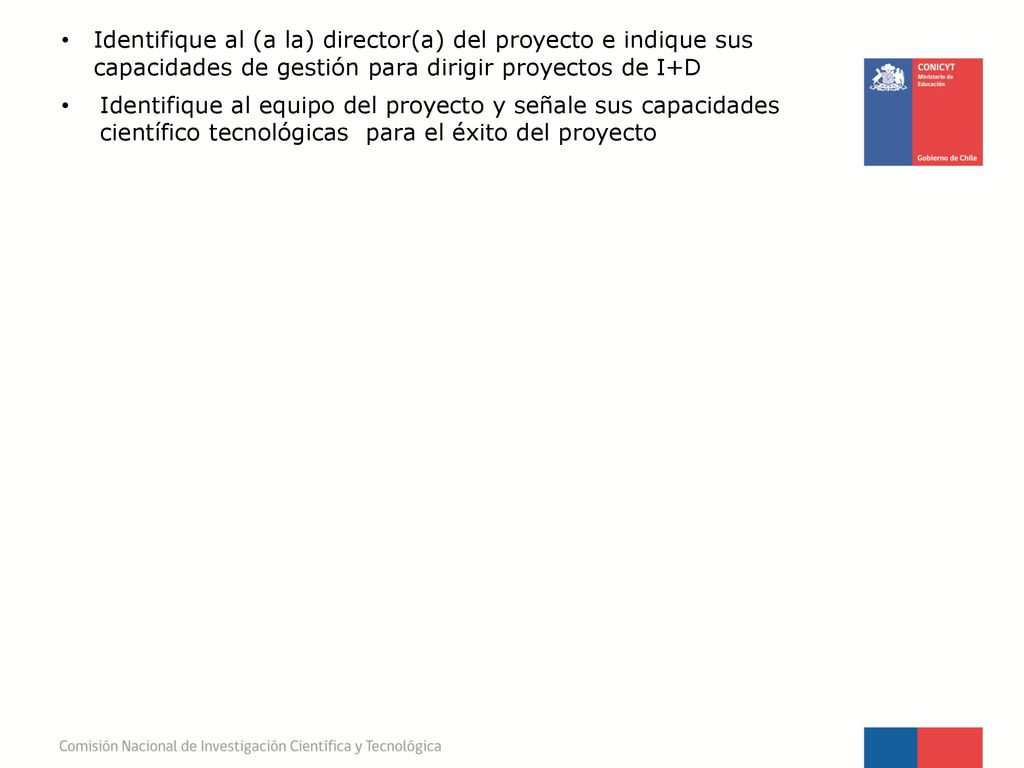 Identifique al (a la) director(a) del proyecto e indique sus capacidades de gestión para dirigir proyectos de I+D