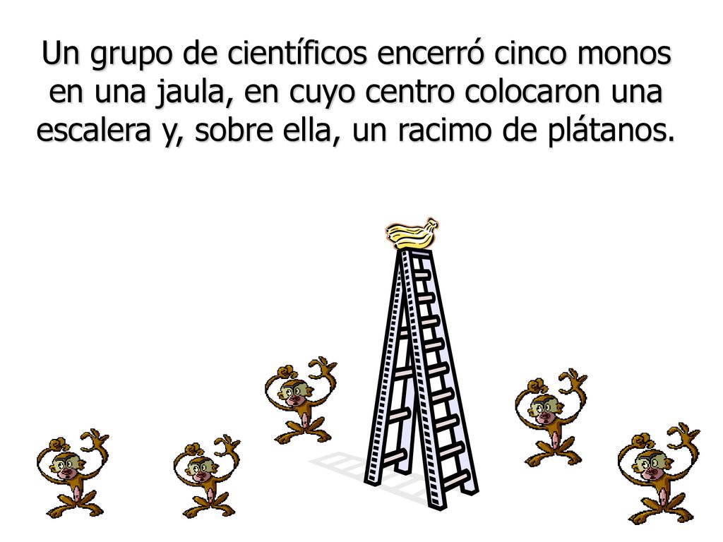 Un grupo de científicos encerró cinco monos en una jaula, en cuyo centro colocaron una escalera y, sobre ella, un racimo de plátanos.