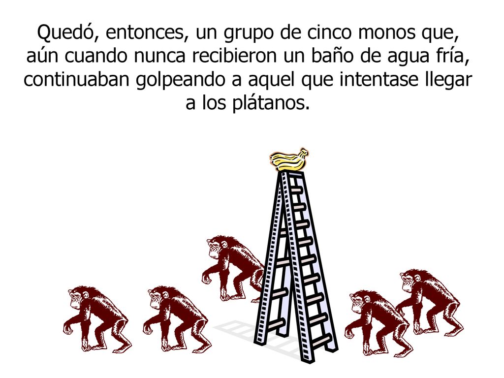 Quedó, entonces, un grupo de cinco monos que, aún cuando nunca recibieron un baño de agua fría, continuaban golpeando a aquel que intentase llegar a los plátanos.
