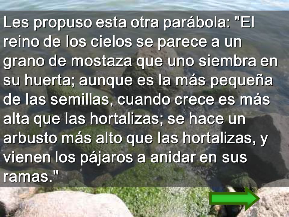 Les propuso esta otra parábola: El reino de los cielos se parece a un grano de mostaza que uno siembra en su huerta; aunque es la más pequeña de las semillas, cuando crece es más alta que las hortalizas; se hace un arbusto más alto que las hortalizas, y vienen los pájaros a anidar en sus ramas.